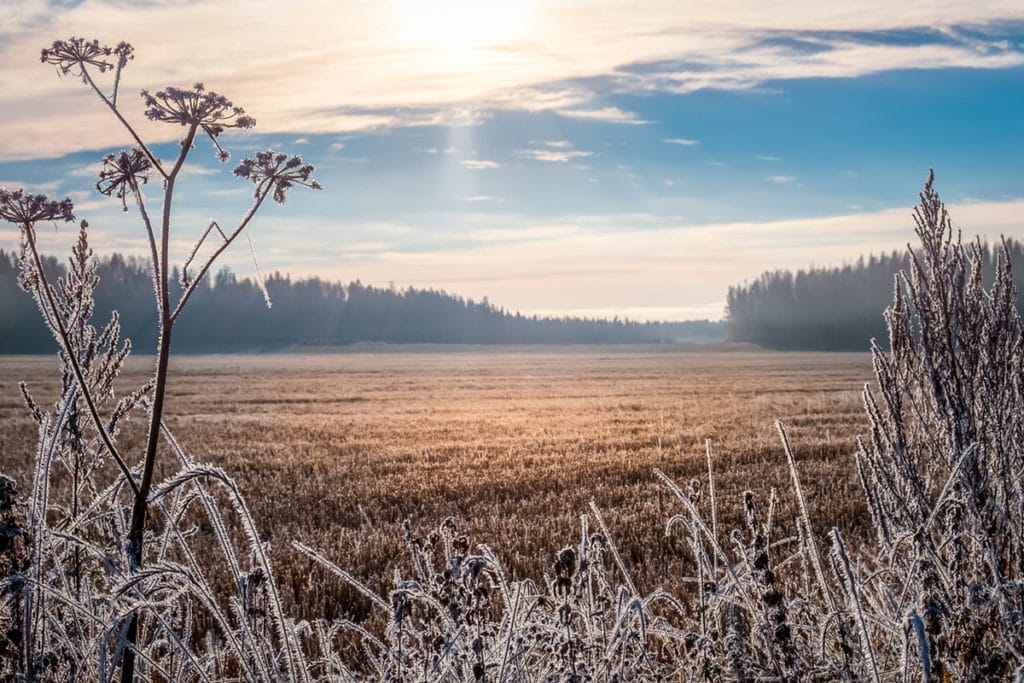 saskatchewan-invites-534-to-apply-for-provincial-nomination-canada