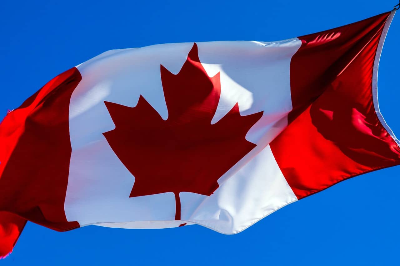 How to become a Canadian citizen if you are an American | Canada  Immigration News