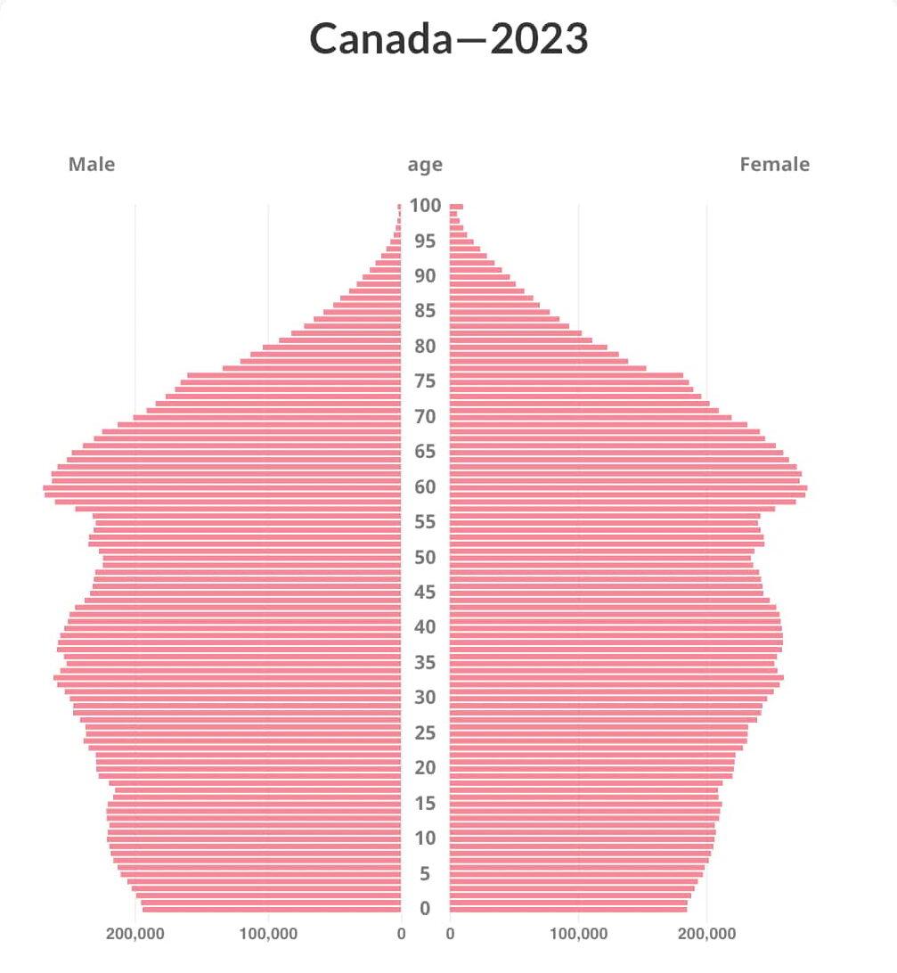 Canada Population Pyramid E1699569023584 