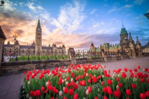 Immigration Minister Marc Miller has introduced legislation to update Canada's citizenship laws.