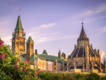 A picture of the Canadian parliament building in the background, with flowers in the foreground.