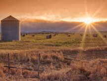 A lovely picture of a wheat field and silo as the sun sets in the background.