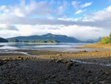 Beach on Haida Gwaii