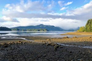 Beach on Haida Gwaii