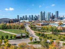 A cityscape view of Downtown Calgary featuring buildings, greenery and roads.