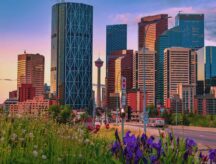 A scenic view of downtown Calgary during a summer sunset.