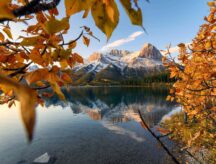 A view of a mountain through fall leaves.