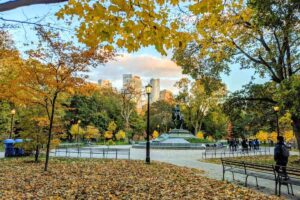 Queens park in the fall, Toronto