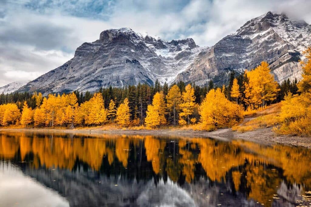 A view of a lake, with snow capped mountains in the background, as leaves turn golden in the autumn