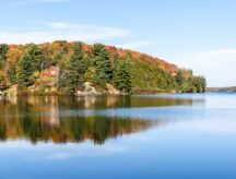 A scenic landscape with trees and water