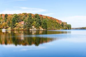 A scenic landscape with trees and water