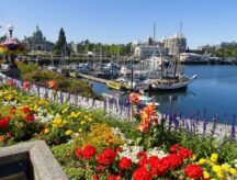 Inner Harbor in downtown of Victoria BC in the summer