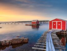 A pair of small houses on the coast of newfoundland and labrador