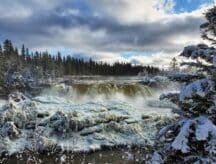 A partially frozen river at the Pisew Falls Provincial Park in Manitoba, surrounding by pine trees.